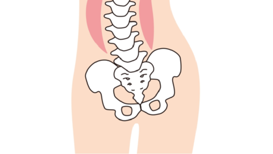 出産(帝王切開も含む)により骨盤に歪みが出る 