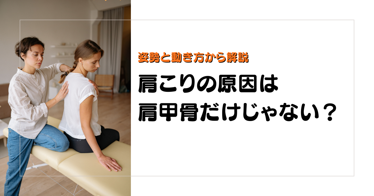 みらい平Life Fun鍼灸接骨院のブログ用アイキャッチ。肩こりの原因を肩甲骨だけでなく、姿勢と動き方から解説する女性向けデザイン。