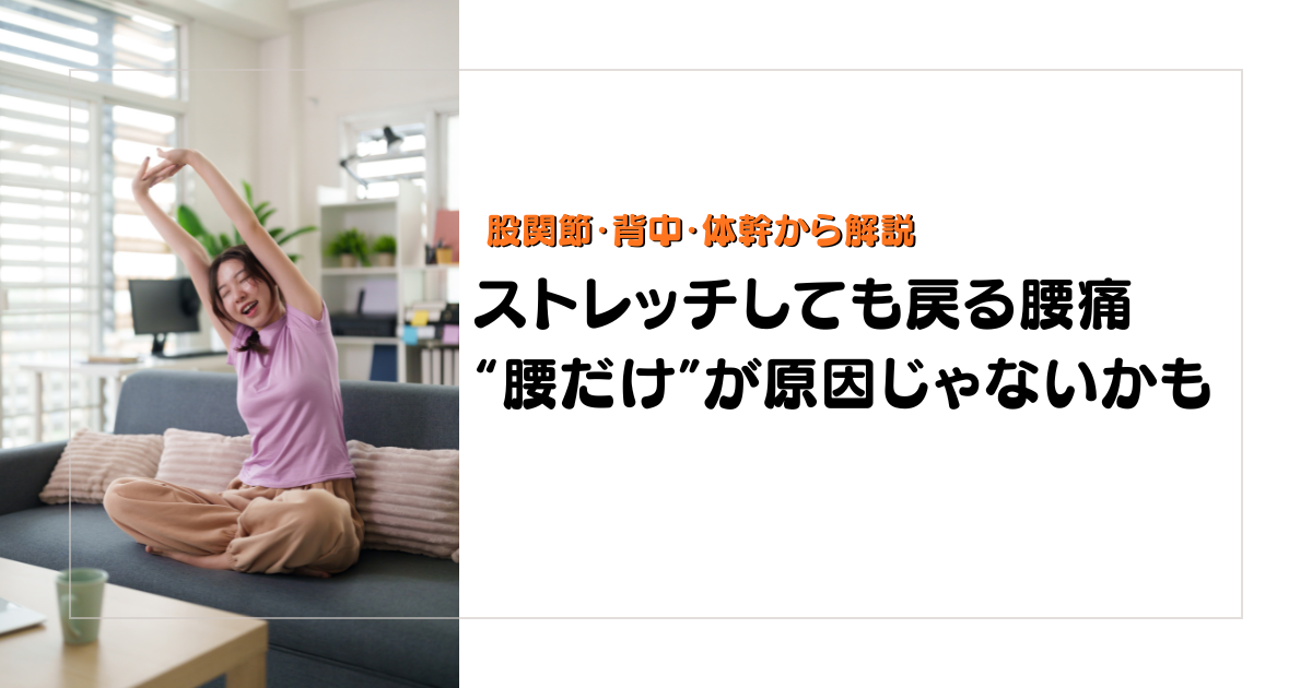 みらい平Life Fun鍼灸接骨院のブログ用アイキャッチ。ストレッチしても戻る腰痛を、股関節、背中、体幹の視点から解説する女性向けデザイン。