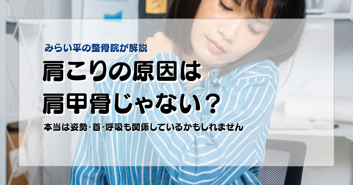 肩こりの原因が肩甲骨だけではないかもしれないと悩む30代女性のブログアイキャッチ