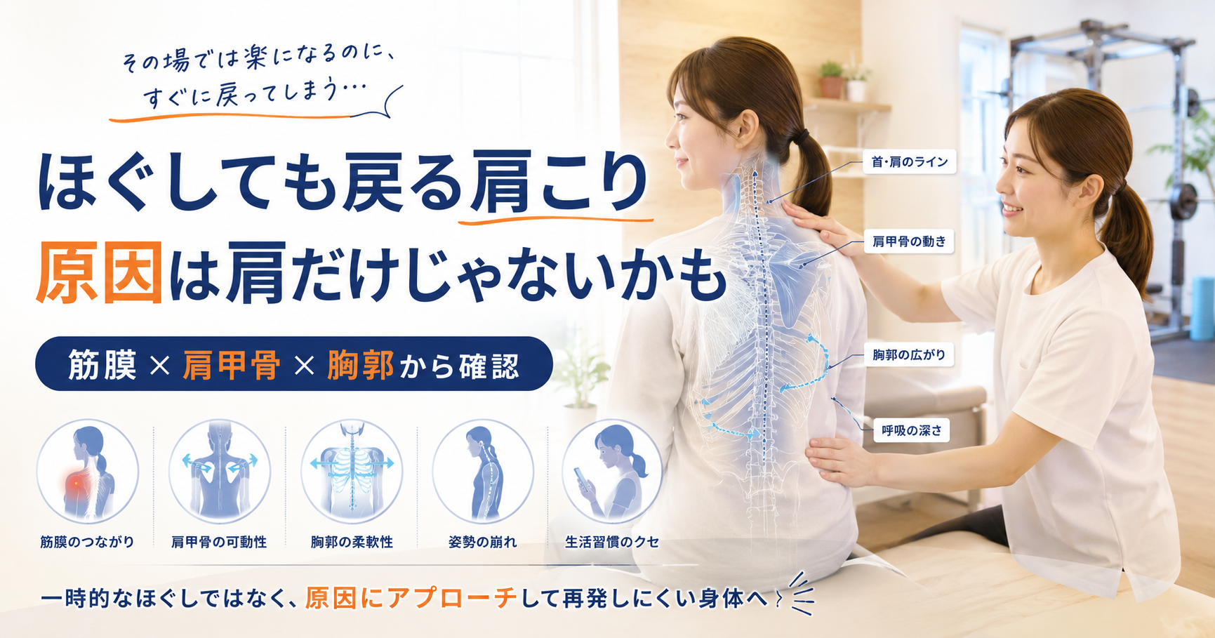 みらい平Life Fun鍼灸接骨院でほぐしても戻る肩こりに対して筋膜や肩甲骨、胸郭、呼吸の状態を姿勢分析している女性向けアイキャッチ画像